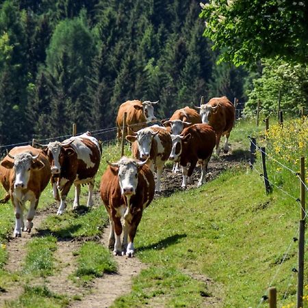 Urlaub Auf Dem Haberlhof Villa Lohberg Ngoại thất bức ảnh