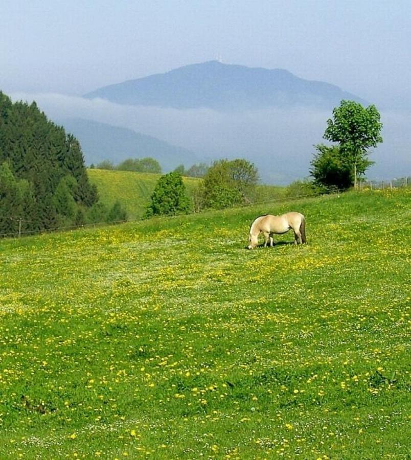 Urlaub Auf Dem Haberlhof Villa Lohberg Ngoại thất bức ảnh