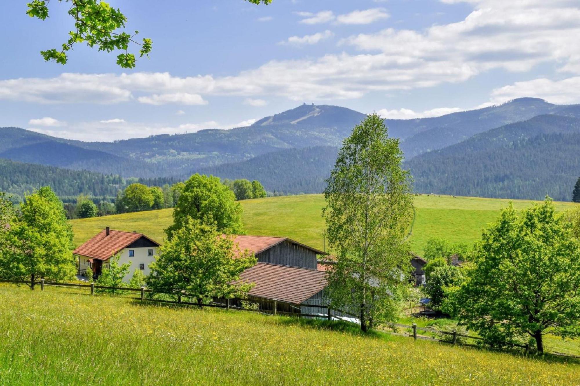 Urlaub Auf Dem Haberlhof Villa Lohberg Ngoại thất bức ảnh